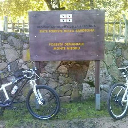 B&B Il Vigneto Capoterra Exterior foto
